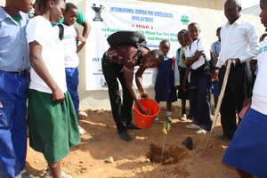 Greening Africa