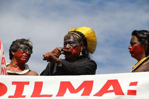 Empower Indigenous Brazilians to Save their Amazon