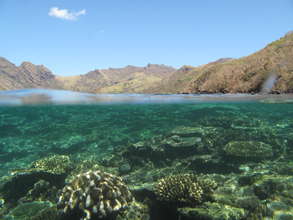 Yasawas Reef, Fiji @ Stacy Jupiter