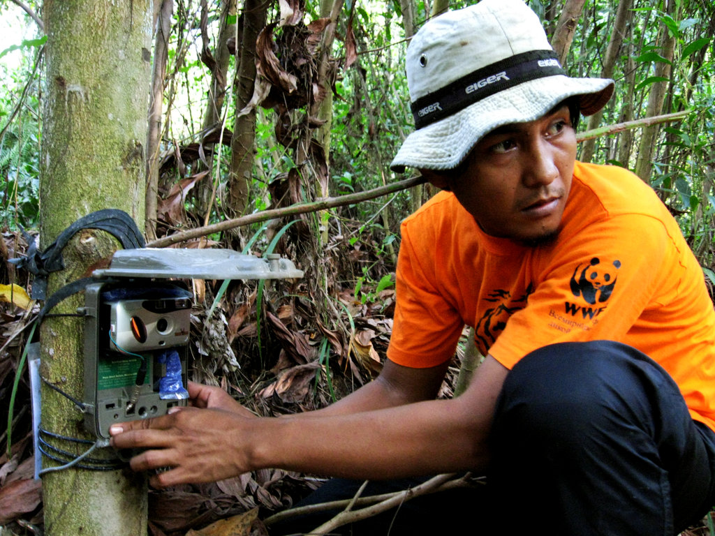 Zero Poaching of Tigers