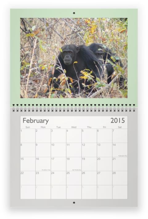 Sample calendar page for Toto fundraiser!