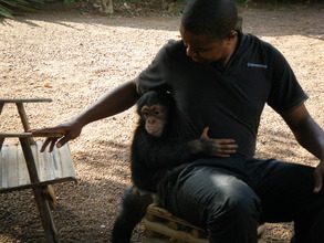 Toto and his caretaker Ousmane in January 2014.