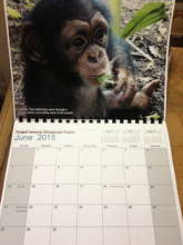 Toto calendar