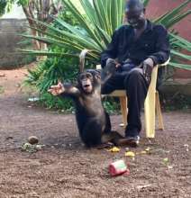 Toto and one of his "dads"