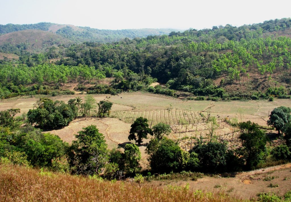 Mundsara after relocation efforts