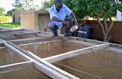 Create a Poultry Farm to Save Lives