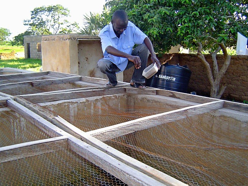 Create a Poultry Farm to Save Lives