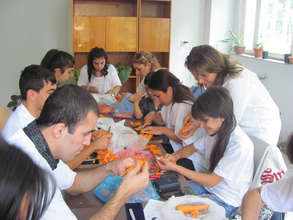 Training on professional education