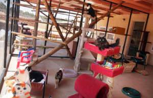 Catio at Calmar