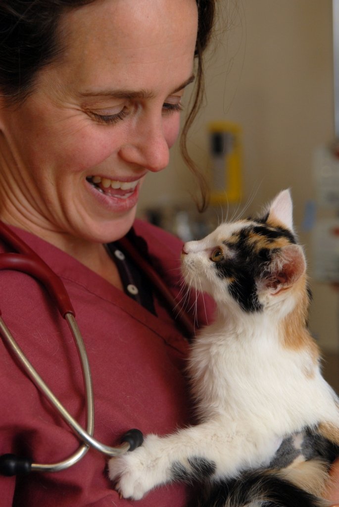 Reports on Support Best Friends Animal Sanctuary GlobalGiving