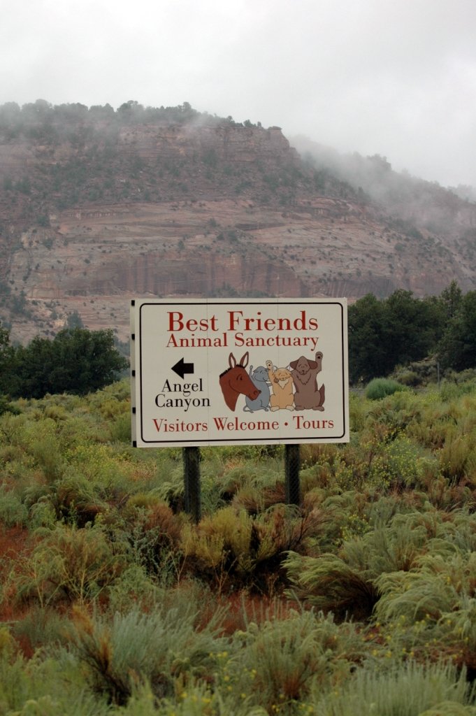 Support Best Friends Animal Sanctuary