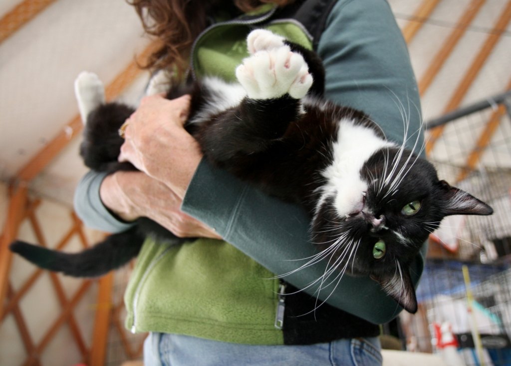 Reports on Support Best Friends Animal Sanctuary GlobalGiving