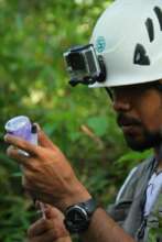 Dr Ricko, the team's vet prepares the tranquiliser