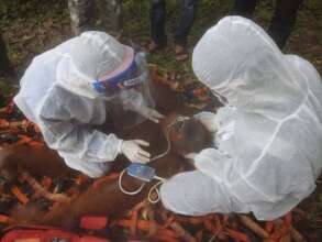 A careful medical examination in full PPE