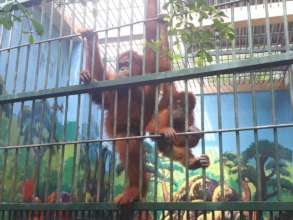 Ina and Boncel at the THS zoo