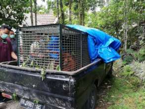 Ready to be transported to the quarantine centre