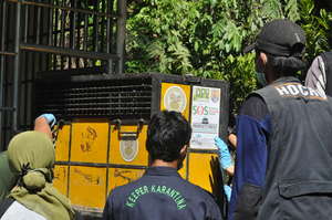 Transfer to the quarantine centre