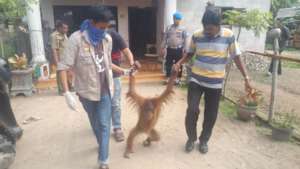 Fatimah on her way to the rescue vehicle