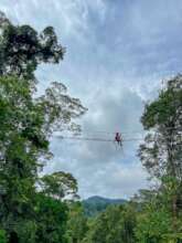 The completed canopy bridge