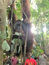 Poben's release in Singkil. Photo courtesy of OIC.