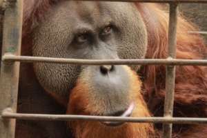 A brighter future for Krismon