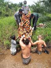 Challenges of translocation