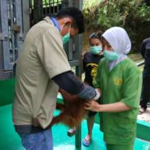 Handing Baby over to SOCP Quarantine centre