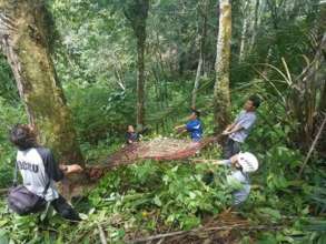 Preparing to catch an orangutan in the rescue net