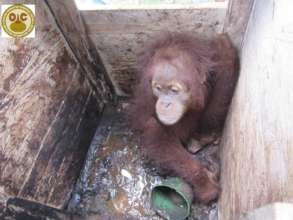 Sitting in excrement