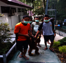 2 year old arriving at quarantine