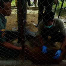Female aged 4, rescued from a cage