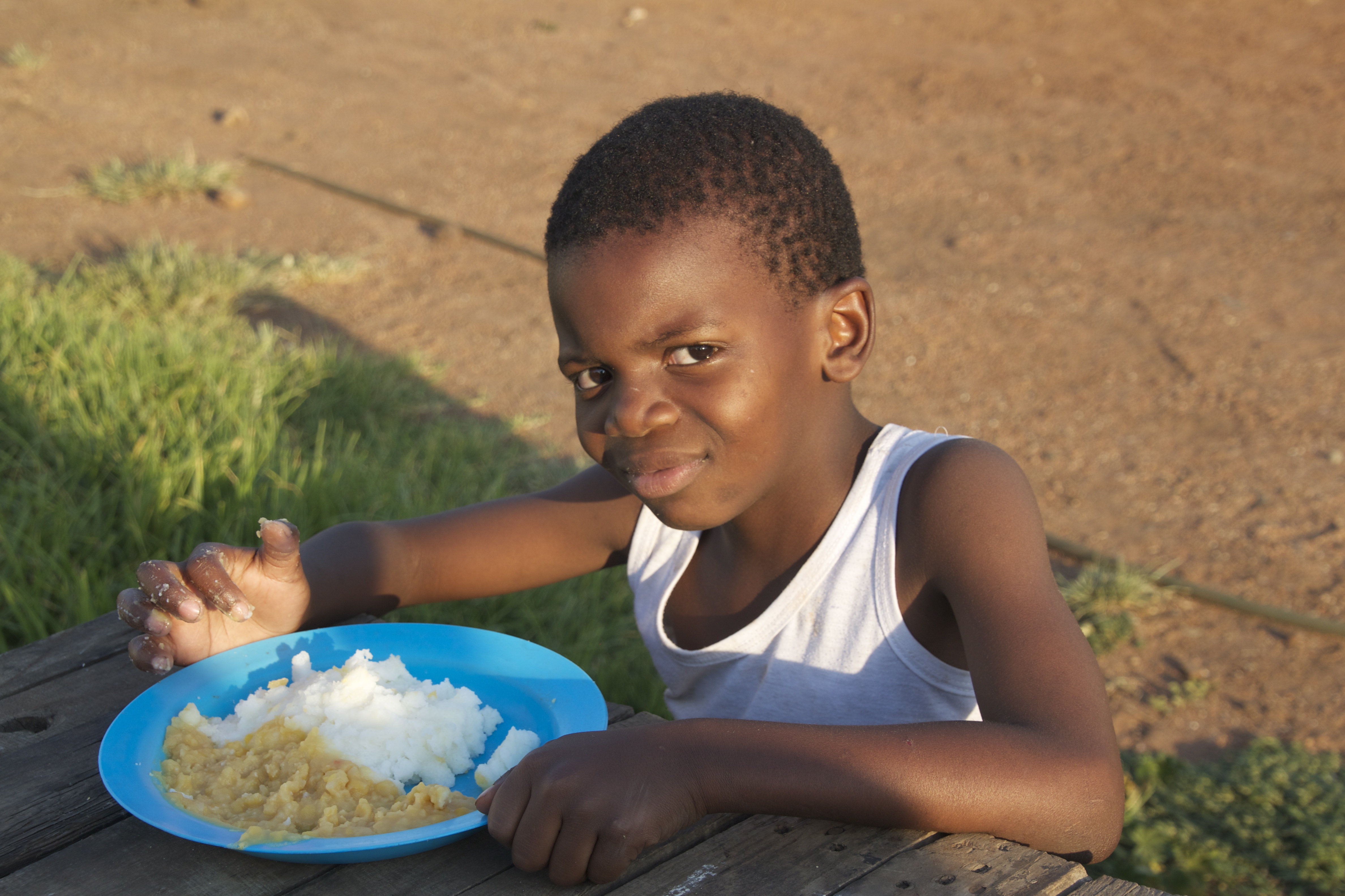 What are 5 facts about south africa image