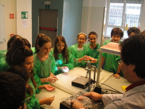 Students are amazed at the experiment!