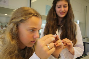 Science brings out curiosity
