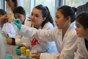 Science experimentation