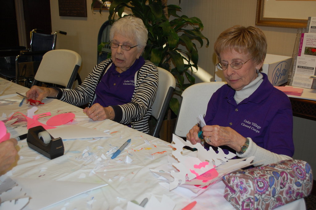 Senior Volunteers Making a Difference