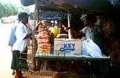 Creating a Loan Fund for 50 Women in Zimbabwe