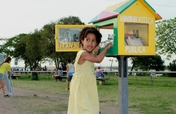 Public Mini Libraries