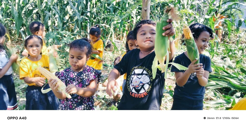 Collecting Produce from the Garden