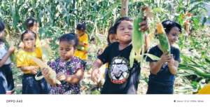 Collecting Produce from the Garden