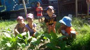 Plants the kids grew