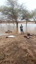 Floods missed the village but many goats drowned