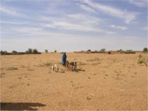 Darfur Landscape