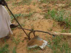 Tilling the land in the hope of seed for planting