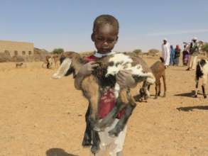 Goat Loans save lives in Darfur