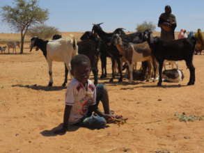 A flock of goats means income for the first time