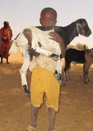 Children face starvation in Darfur now - urgent