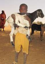 Boy holding his precious goat