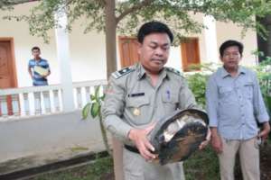 WRRT member rescues a turtle