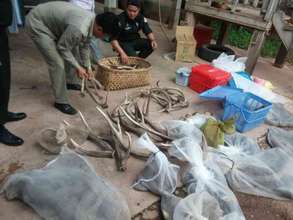 Highly valued horns and reptiles